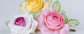 Deutsche Kunstblume Sebnitz